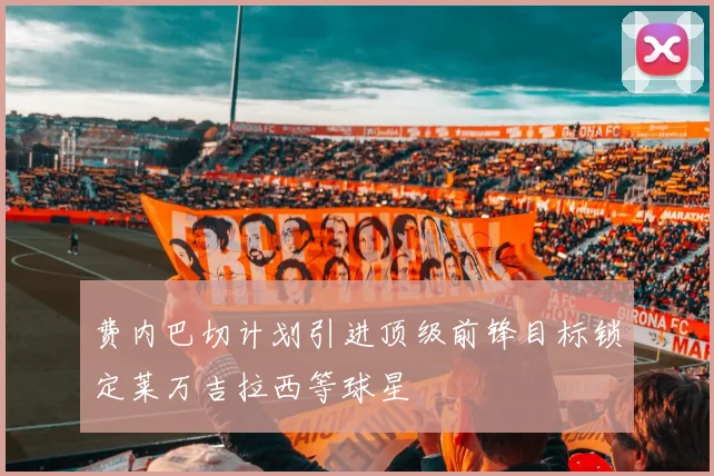 费内巴切计划引进顶级前锋目标锁定莱万吉拉西等球星